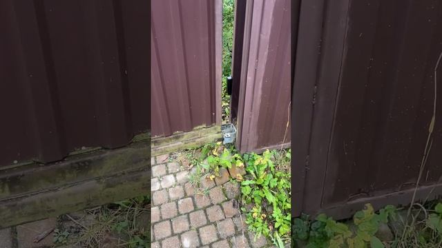 забор