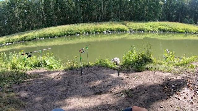 МАКУШАТНИК БЕЗ ГРУЗА!!! Рыбалка на канале Беловской ГРЭС. смотреть онлайн