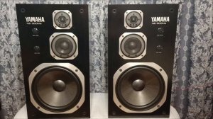 Yamaha ns-500Ma test