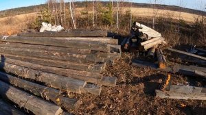 Любопытная ласка пришла в гости