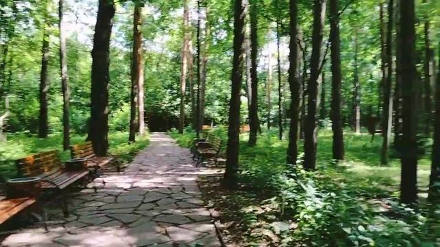 #прелестиютуба#иммунитеткзлымлюдям#дендропарк #летовпарке #чихуа выработался иммунитет