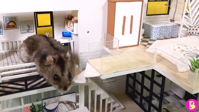 В ГОСТЯХ у ХОМЯЧКА ПЕЧЕНЮШКИ***КАКУЮ ТАЙНУ УЗНАЛ ПЕТЯ? смотреть онлайн