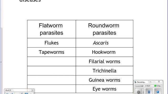 Cycle 9 Lecture 2 смотреть онлайн