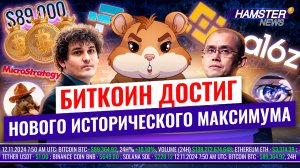 Биткоин взлетел до $89,000, судебная битва FTX против Binance, мемкоины на подъеме ⚡️ Hamster News