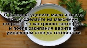 КАК ПРИГОТОВИТЬ ЩАВЕЛЕВЫЙ СУП С ЯЙЦОМ? Полезный и сытный классический щавелевый суп с яйцом