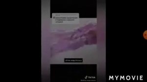 Смешные истории со слайдом истории+слайм