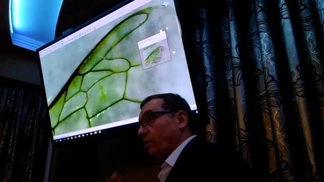 Морфометрия как основа чистопородного разведения .