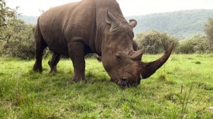 15310544-uhd_3838_2160_60fps