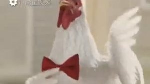 Песня курей