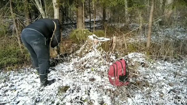 Сталкерсеая вылазка разведка