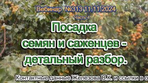 Железов Валерий. Вебинар 313. ч.4. Посадка семян и саженцев- детальный разбор.