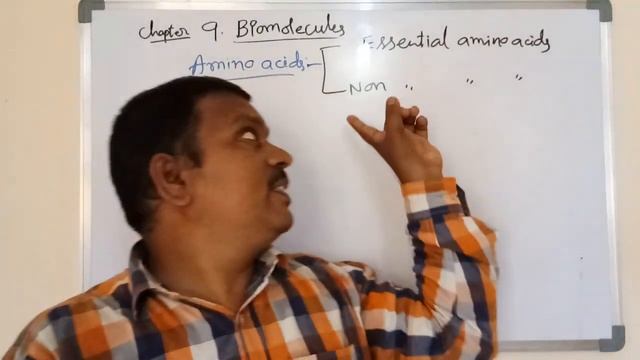 Biomolecules introduction and amino acids