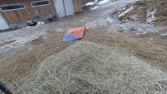 Измельчитель сено , нужная вещь в хозяйстве