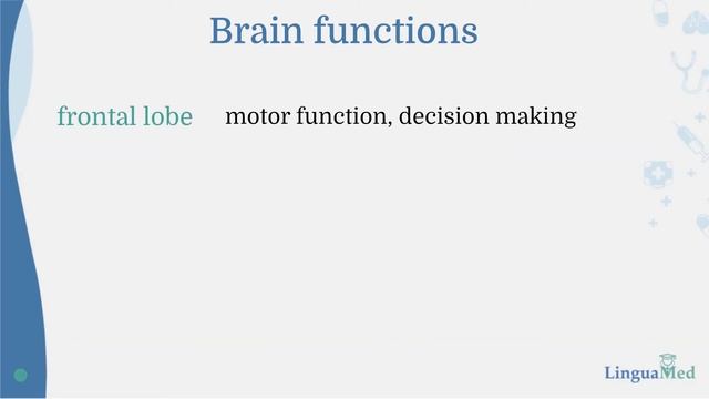 Neurology. Anatomy of Central Nervous System