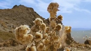 Пророк мухаммад савс 2015