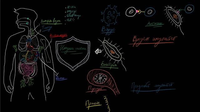 Имунна система(Обобщено)