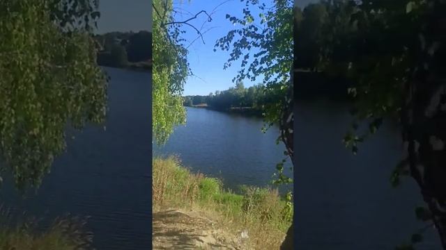 Ах , березка белая🍀склонилась над рекой смотреть онлайн