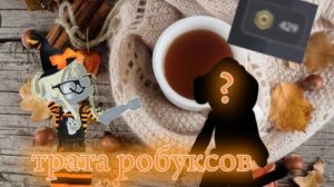 Трата робуксов