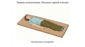 Лекция 5