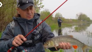 ГОЛАВЛЬ ХОЛОДНОЙ ВОДЫ 2024 x ДЕНИС ВИХРОВ x АЛЕКСЕЙ БУЕРАКОВ