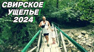 СВИРСКОЕ УЩЕЛЬЕ / ЛАЗАРЕВСКОЕ 2024 /