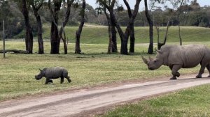 12585824_1920_1080_60fps