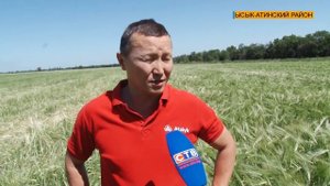 Новый вид семян ячменя..
