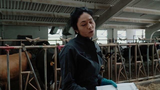 Новотельный период в жизни коров. Как ухаживать за новотелом? Лечение ацидоза у КРС. Веста Штебе.