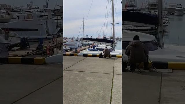 порт сочи смотреть онлайн