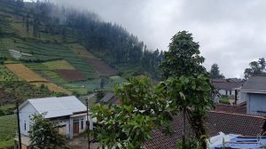 Rain with beautiful views of the hills, even though it is very cold but makes you feel at home