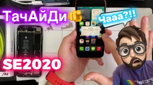 Само-Ремонт на Классических Моделях - SE2020 (Рeвизии экрана - iOS18)