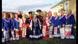 Куры мои куры