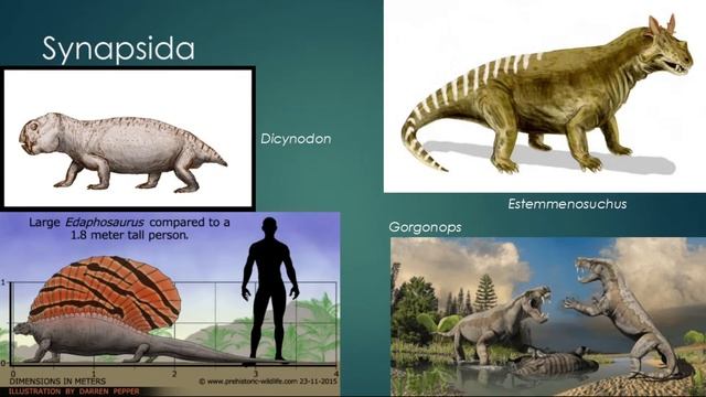 The Paleozoic Pt. 2 and the Mesozoic (with Dapper Dinosaur) смотреть онлайн