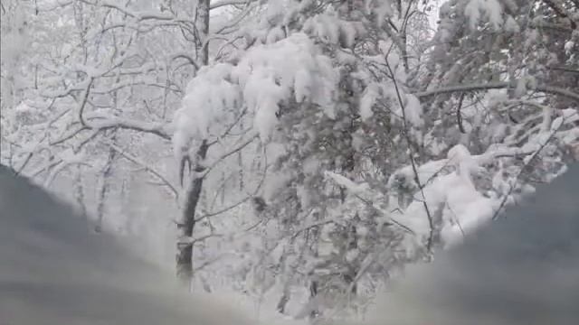 ЗАЧАРОВАННЫЙ МИР смотреть онлайн