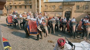 Индия. "Золотой треугольник". Дели - Джайпур - Агра (часть 1)