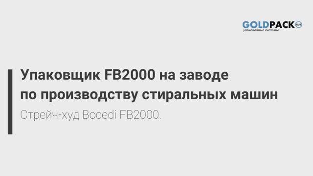 Упаковщик в стрейч-худ пленку FB2000 на заводе по производству стиральных машин. Февраль 2021