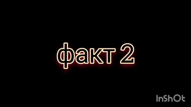 РАЗОБЛАЧЕНИЕ НЕКОГЛАЯ - некоглай - инстасамка.