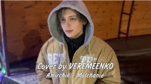 Amirchik - Молчание (cover by VEREMEENKO)