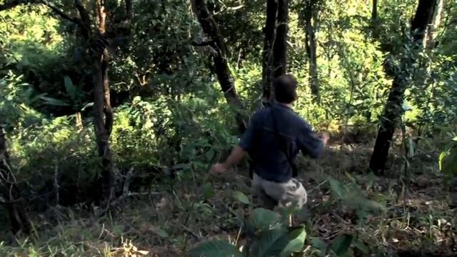 Orchidee Imperiale Guerlain Orchidarium | Stadt-Parfümerie Pieper смотреть онлайн