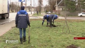 В Орле сотрудники "Спецавтобазы" высадили 100 молодых деревьев.