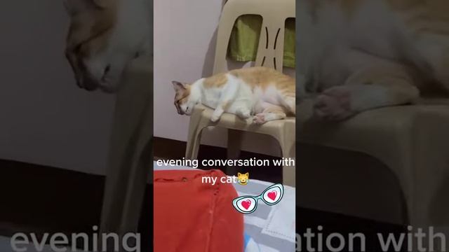 Cat PH 😺 #trending  #viral  #cat  #catlovers  #philippines