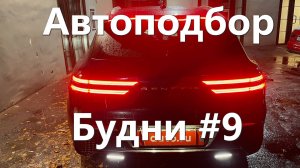 Будни автоподборщика #9