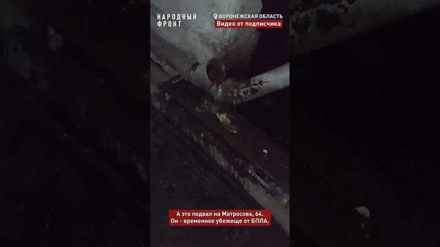 Две воронежские многоэтажки четыре месяца заливает фекалиями. Коммунальщикам все равно.