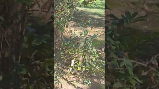 25 марта 2024 г. смотреть онлайн