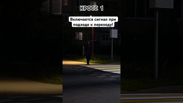 КРОСС 1 - умный пешеходный переход! Камеры распознают пешеходов! кросс1.рф