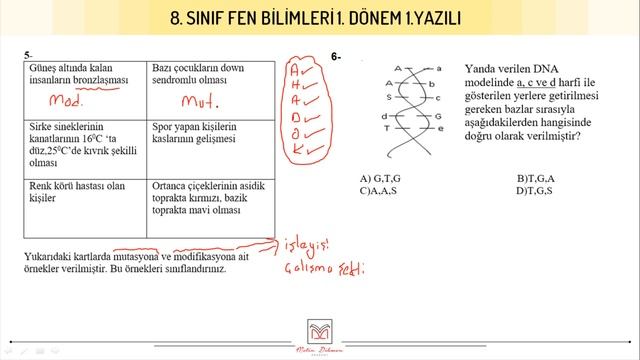 8.Sınıf Fen Bilimleri | 1. Dönem 1. Yazılıya Hazırlık смотреть онлайн