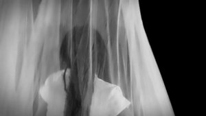 Daisy Gray ~ Wicked Game