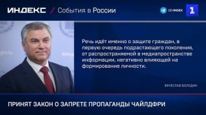 Госдума приняла закон о запрете пропаганды чайлдфри