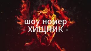 Лазерный шоу номер Хищник