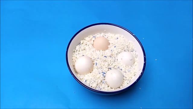 Eggs Hatching scientific method 100% real || How to hatch egg with out incubator || King inventions смотреть онлайн